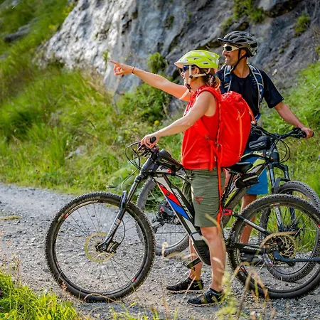 Stern Im Bergparadies Lechtal 木屋